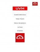 Negocio en Mercadotecnia. ROCO PIZZA