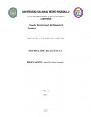 CONTAMINACION DEL LAGO TITICACA