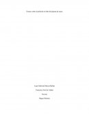 Ensayo sobre la película el niño del pijama de rayas