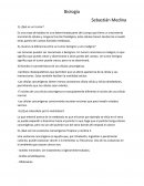 Biologia. Cuestionario ¿Qué es un tumor?