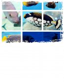 Las Islas Galápagos