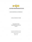 ANALISIS MULDIMENSIONAL DE LAS PROBLEMATICAS