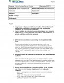 Actividad 4 inteligencia de mercados