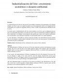 Industrialización del litio: crecimiento económico o desastre ambiental