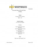 Los colores de la montaña (conflicto armado y uso de mina antipersona en Colombia)