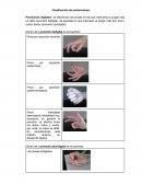 Clasificación de prehensiones