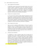 Análisis Competitivo (5 fuerzas de Porter)