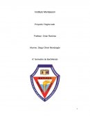 Misión del Instituto Montessori