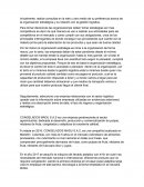 Caracterizacion de la empresa