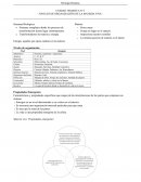 Organización de la materia