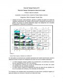 Participación laboral de la mujer