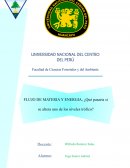 Flujo de materia y energía