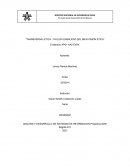 Transversal-ética. Taller usabilidad del bien visión ética