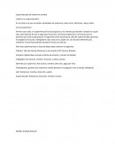 Funcionamiento de un super