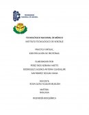 IDENTIFICACIÓN DE PROTEÍNAS