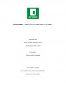 PAZ Y GUERRA / VIOLENCIA Y NO VIOLENCIA EN COLOMBIA