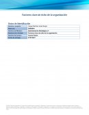 Factores clave de éxito de la organización