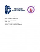 T4.3 Vídeo de Planeación Estratégica