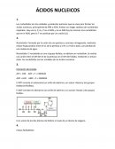 Ácidos nucleicos. ADN estructura primaria