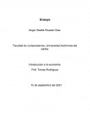 Titulo XII economia