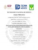 Protocolo de investigacion La Seguridad Industrial