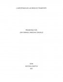 LA IMPORTANCIA DE LAS REDES DE TRANSPORTE