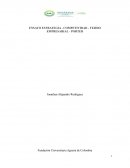 ENSAYO ESTRATEGIA - COMPETIVIDAD - TEJIDO EMPRESARIAL - PORTER