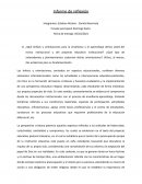 Los énfasis y orientaciones, centrados en aspectos educacionales