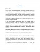 Guía Práctica pedagógica