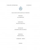 ESTADO MODERNO Y POLTICAS PUBLICAS