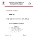 Metodos de cuantificación de proteínas