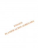 PLANEACION AGRAGADA EN LA PRODUCCION