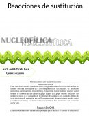 Sustitución Nucleofílica Resumen