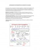 CONTAMINACIÓN ELECTROMAGNÉTICAS NO IONIZANTES EN COLOMBIA