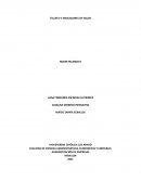 TALLER # 3 INDICADORES DE VALOR