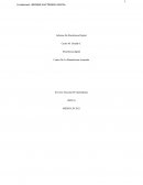 PRACTICA 1: Circuito Combinacional