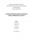 PLANTAS MEDICINALES COMO ALTERNATIVA PARA EL BIENESTAR DE LA SALUD