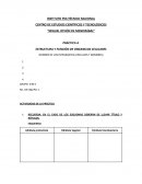 PRÁCTICA 4. ESTRUCTURA Y FUNCIÓN DE ORGANELOS CELULARES