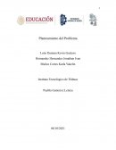 CAPACITACIÓN PARA MEJORAR E INNOVAR LA ATENCIÓN AL CLIENTE DE LOS EMPLEADOS EN LA AGENCIA