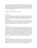 Investigación de los campos especializados de la sociología