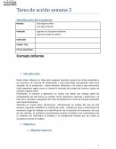 Situación del sistema de la empresa Pupilo Ltda