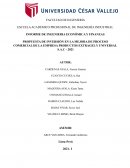 PROPUESTA DE INVERSIÓN EN LA MEJORA DE PROCESO COMERCIAL DE LA EMPRESA PRODUCTOS EXTRAGEL Y UNIVERSAL S.A.C - 2021