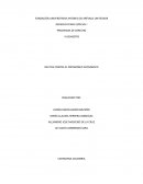 DELITOS CONTRA EL PATRIMONIO ECONOMICO