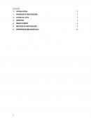 LA INFLUENCIA DE LOS MEDIOS DE COMUNICACIÓN Y GIMNASIOS DENTRO DEL MERCADO DE SUSTANCIAS DERIVADAS DE ESTEROIDES ANABÓLICOS ANDROGÉNICOS