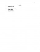 PROYECTO FINAL MAPA CONCEPTUAL SISTEMAS DE INFORMACION EN POLITICAS AMBIENTALES