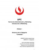 Entorno de la Categoría “Cereales”