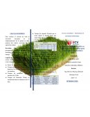 Royecto de inversion publica modelo