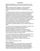 Resumen Sobre El Che Guevara