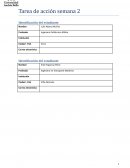 Formato Informe Ejecutivo. Caso Ventanas Verdes