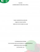 Caso Incidental 2 del Capítulo 5 del libro guía